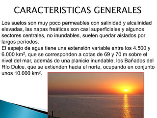 CARACTERISTICAS GENERALES
Los suelos son muy poco permeables con salinidad y alcalinidad
elevadas, las napas freáticas son casi superficiales y algunos
sectores centrales, no inundables, suelen quedar aislados por
largos períodos.
El espejo de agua tiene una extensión variable entre los 4.500 y
6.000 km2, que se corresponden a cotas de 69 y 70 m sobre el
nivel del mar, además de una planicie inundable, los Bañados del
Río Dulce, que se extienden hacia el norte, ocupando en conjunto
unos 10.000 km2.
 