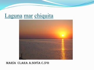 Laguna mar chiquita




María clara A.Sofía C.5ºD
 