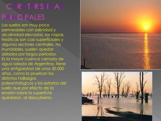 CARCTERISTICAS
PRINCIPALES
Los suelos son muy poco
permeables con salinidad y
alcalinidad elevadas, las napas
freáticas son casi superficiales y
algunos sectores centrales, no
inundables, suelen quedar
aislados por largos períodos.
Es la mayor cuenca cerrada de
agua salada de Argentina, tiene
una antigüedad de unos 30.000
años, como lo prueban los
distintos hallazgos
paleontológicos y los estratos del
suelo que por efecto de la
erosión sobre la superficie
quedaron, al descubierto.
 