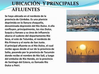 UBICACIÓN Y PRINCIPALES
      AFLUENTES
Se haya ubicada en el nordeste de la
provincia de Córdoba. Es una planicie
deprimida en la llanura chaqueña,
denominada depresión del Río Dulce. A ella
confluyen, principalmente, los ríos Dulce,
Suquía y Xanaes y su área de influencia
abarca el sudeste del departamento Río
Seco, el este de Tulumba, el nordeste de
Río Primero y el norte de San Justo.
El principal afluente es el Río Dulce, el cual
recibe aguas desde el sur de la provincia de
Salta, pasando por la provincia de Tucumán
donde recibe el nombre de Río Salí, y luego
del embalse de Río Hondo, en la provincia
de Santiago del Estero, es llamado Río
Dulce o Petri.
 