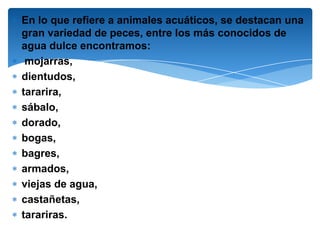 En lo que refiere a animales acuáticos, se destacan una
gran variedad de peces, entre los más conocidos de
agua dulce encontramos:
 mojarras,
dientudos,
tararira,
sábalo,
dorado,
bogas,
bagres,
armados,
viejas de agua,
castañetas,
tarariras.
 