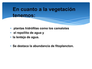 En cuanto a la vegetación
tenemos:

 plantas hidrófilas como los camalotes
 el repollito de agua y
la lenteja de agua.

Se destaca la abundancia de fitoplancton.
 