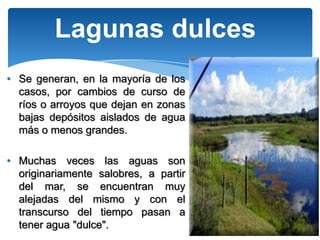 Lagunas dulces
• Se generan, en la mayoría de los
  casos, por cambios de curso de
  ríos o arroyos que dejan en zonas
  bajas depósitos aislados de agua
  más o menos grandes.

• Muchas veces las aguas son
  originariamente salobres, a partir
  del mar, se encuentran muy
  alejadas del mismo y con el
  transcurso del tiempo pasan a
  tener agua "dulce".
 