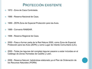 Lagunas | PPT
