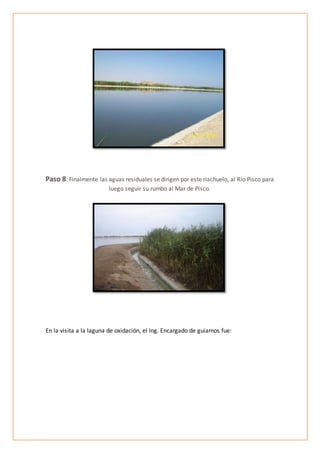 Paso 8: Finalmente las aguas residuales se dirigen por este riachuelo, al Río Pisco para
luego seguir su rumbo al Mar de Pisco.
En la visita a la laguna de oxidación, el Ing. Encargado de guiarnos fue:
 