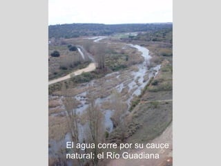 El agua corre por su cauce natural: el Río Guadiana