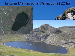 Laguna Mamacocha (Yanacocha) 22 ha
 