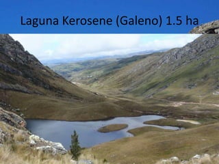 Laguna Kerosene (Galeno) 1.5 ha
 