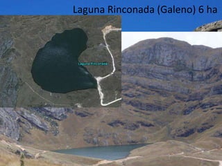 Laguna Rinconada (Galeno) 6 ha
 