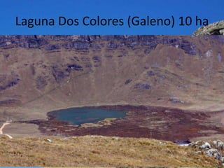 Laguna Dos Colores (Galeno) 10 ha
 