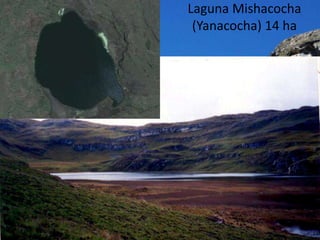 Laguna Mishacocha
 (Yanacocha) 14 ha
 