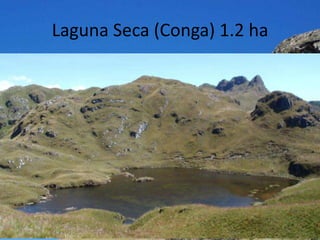 Laguna Seca (Conga) 1.2 ha
 