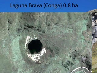 Laguna Brava (Conga) 0.8 ha
 