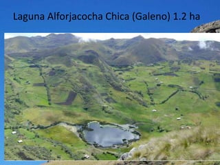 Laguna Alforjacocha Chica (Galeno) 1.2 ha
 