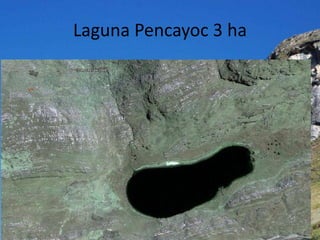 Laguna Pencayoc 3 ha
 