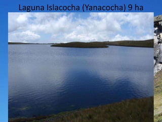 Laguna Islacocha (Yanacocha) 9 ha
 