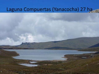 Laguna Compuertas (Yanacocha) 27 ha
 