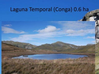 Laguna Temporal (Conga) 0.6 ha
 