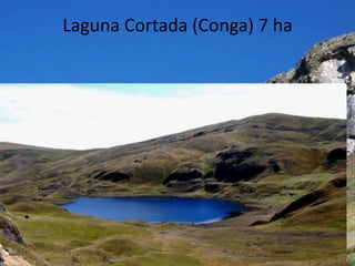Laguna Cortada (Conga) 7 ha
 