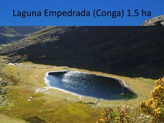 Laguna Empedrada (Conga) 1.5 ha
 