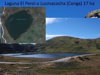 Laguna El Perol o Lucmacocha (Conga) 17 ha
 