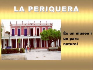 LA PERIQUERALA PERIQUERA
És un museu i
un parc
natural
 