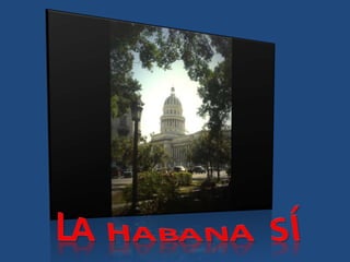 La Habana Sí 