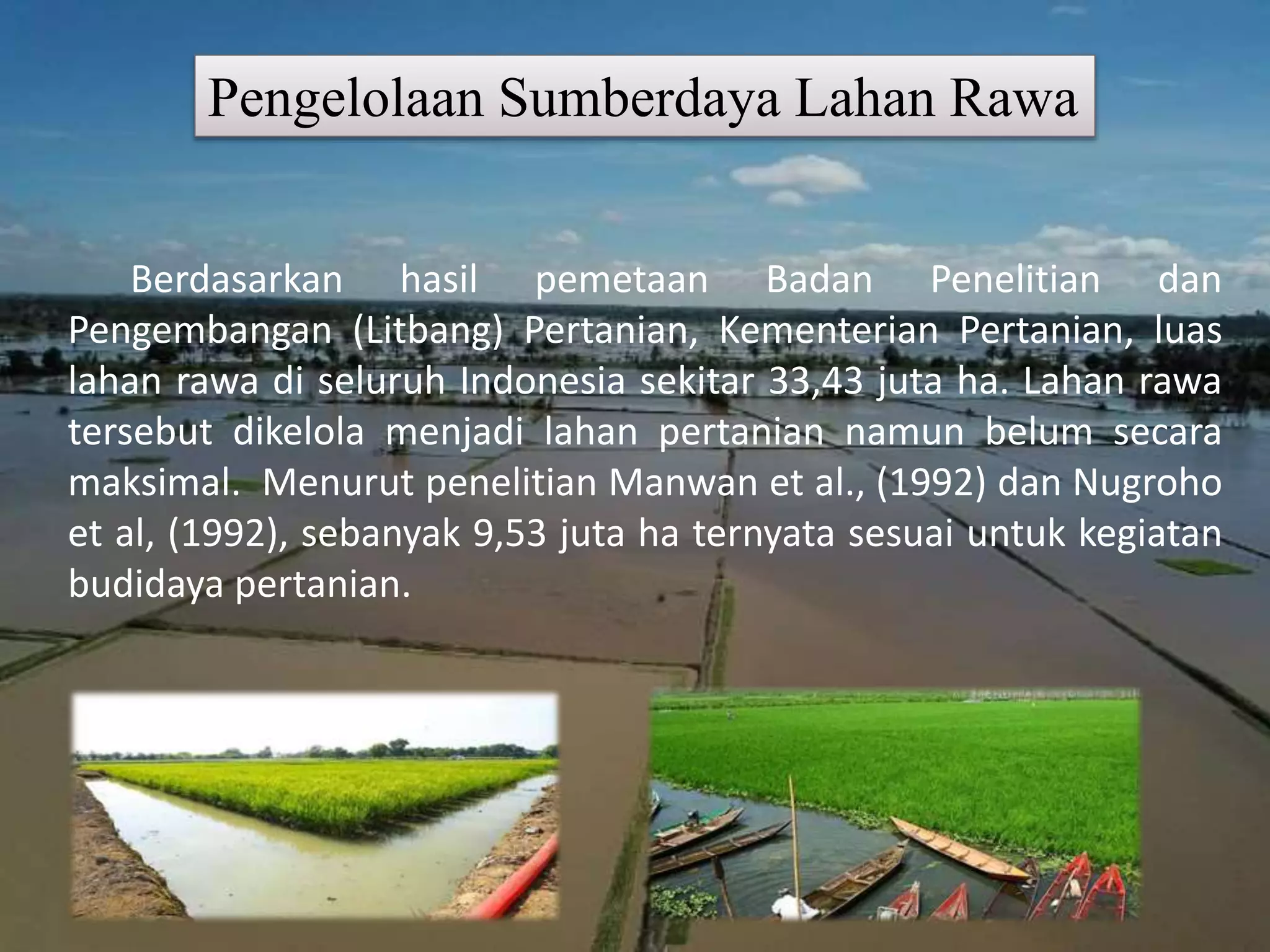Lahaf Rawsam Lahan rawa | PPTX