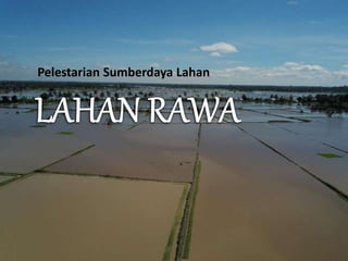 Lahaf Rawsam Lahan rawa | PPTX