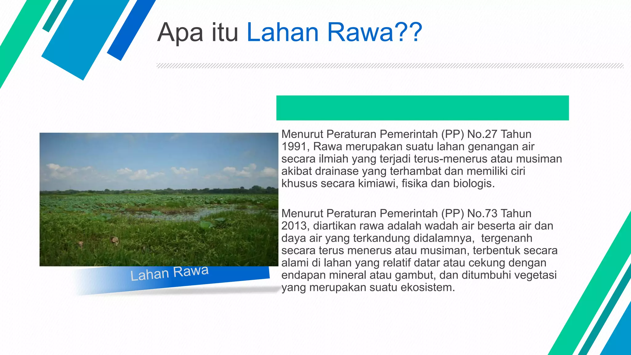 Vegetasi Rawa Lahan rawa | PPTX