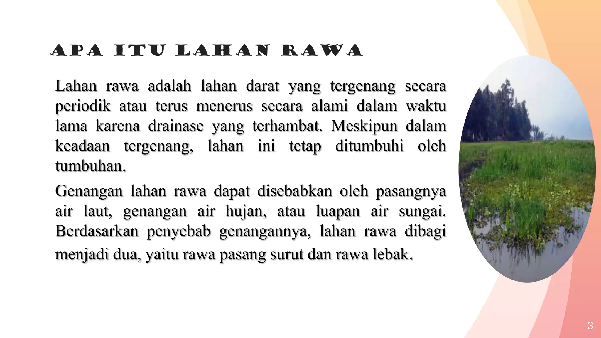 Lahaf Rawsam Lahan rawa fix | PPTX