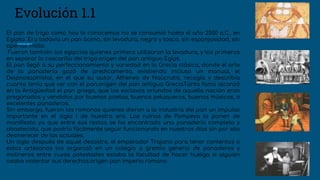 El pan de trigo como hoy lo conocemos no se consumió hasta el año 2500 a.C., en
Egipto. Era todavía un pan ácimo, sin levadura, negro y tosco, sin esponjosidad, sin
apenas molla.
Fueron también los egipcios quienes primero utilizaron la levadura, y los primeros
en separar la cascarilla del trigo.origen del pan antiguo Egipt.
El pan llegó a su perfeccionamiento y variedad en la Grecia clásica, donde el arte
de la panadería gozó de predicamento, existiendo incluso un manual, el
Deipnosophistai, en el que su autor, Atheneo de Naúcratis, recogía y describía
cuanto tenía que ver con el pan.origen del pan antigua GreciaTanta fama alcanzó
en la Antigüedad el pan griego, que los esclavos oriundos de aquella nación eran
pregonados y vendidos por buenos poetas, buenos peluqueros, buenos músicos, o
excelentes panaderos.
Sin embargo, fueron los romanos quienes dieron a la industria del pan un impulso
importante en el siglo I de nuestra era. Las ruinas de Pompeya lo ponen de
manifiesto ya que entre sus restos se ha encontrado una panadería completa y
abastecida, que podría fácilmente seguir funcionando en nuestros días sin por ello
desmerecer de las actuales.
Un siglo después de aquel desastre, el emperador Trajano para tener contentos a
estos artesanos los organizó en un colegio o gremio general de panaderos y
molineros entre cuyas potestades estaba la facultad de hacer huelga si alguien
osaba violentar sus derechos.origen pan imperio romano
Evolución 1.1
 