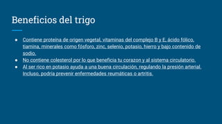 Beneficios del trigo
● Contiene proteína de origen vegetal, vitaminas del complejo B y E, ácido fólico,
tiamina, minerales como fósforo, zinc, selenio, potasio, hierro y bajo contenido de
sodio.
● No contiene colesterol por lo que beneficia tu corazon y al sistema circulatorio.
● Al ser rico en potasio ayuda a una buena circulación, regulando la presión arterial.
Incluso, podría prevenir enfermedades reumáticas o artritis.
 
