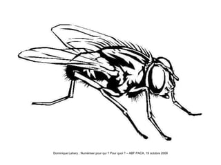 Quelle mouche nous a donc piqués   ? 
