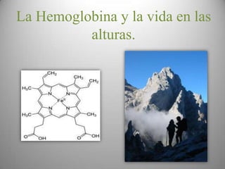 La Hemoglobina y la vida en las
          alturas.
 
