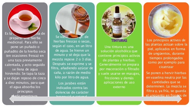 la herbolaria en mexico la herbolaria en mexico