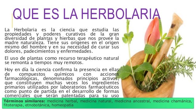 la herbolaria en mexico