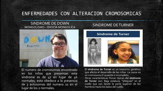 ENFERMEDADES CON ALTERACION CROMOSOMICAS
SINDROME DE DOWN
MONGOLISMO – IDIOCIA MONGOLICA
SINDROME DETURNER
El numero de cromosomas encontrado
en los niños que presentan este
síndrome es de 47 en lugar de 46
normales; esto obedece a la presencia
de 3 autosomas del numero 21 en el
lugar de los 2 normales.
El síndrome de Turner es un trastorno genético
que afecta el desarrollo de las niñas. La causa es
un cromosoma X ausente o incompleto.
Otras características físicas típicas del síndrome
de Turner son: Baja estatura, "pliegues" en el
cuello que van desde la parte superior de los
hombros hasta los lados del cuello.
 
