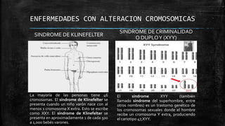 ENFERMEDADES CON ALTERACION CROMOSOMICAS
SINDROME DE KLINEFELTER
SINDROME DE CRIMINALIDAD
O DUPLOY (XYY)
La mayoría de las personas tiene 46
cromosomas. El síndrome de Klinefelter se
presenta cuando un niño varón nace con al
menos 1 cromosoma X extra. Esto se escribe
como XXY. El síndrome de Klinefelter se
presenta en aproximadamente 1 de cada 500
a 1,000 bebés varones.
El síndrome XYY (también
llamado síndrome del superhombre, entre
otros nombres) es un trastorno genético de
los cromosomas sexuales donde el hombre
recibe un cromosoma Y extra, produciendo
el cariotipo 47,XYY.
 