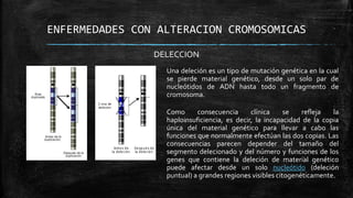ENFERMEDADES CON ALTERACION CROMOSOMICAS
DELECCION
Una deleción es un tipo de mutación genética en la cual
se pierde material genético, desde un solo par de
nucleótidos de ADN hasta todo un fragmento de
cromosoma.
Como consecuencia clínica se refleja la
haploinsuficiencia, es decir, la incapacidad de la copia
única del material genético para llevar a cabo las
funciones que normalmente efectúan las dos copias. Las
consecuencias parecen depender del tamaño del
segmento delecionado y del número y funciones de los
genes que contiene la deleción de material genético
puede afectar desde un solo nucleótido (deleción
puntual) a grandes regiones visibles citogenéticamente.
 
