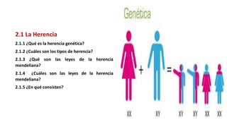 2.1 La Herencia
2.1.1 ¿Qué es la herencia genética?
2.1.2 ¿Cuáles son los tipos de herencia?
2.1.3 ¿Qué son las leyes de la herencia
mendeliana?
2.1.4 ¿Cuáles son las leyes de la herencia
mendeliana?
2.1.5 ¿En qué consisten?
 