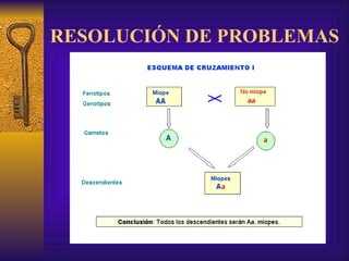 RESOLUCIÓN DE PROBLEMAS 
