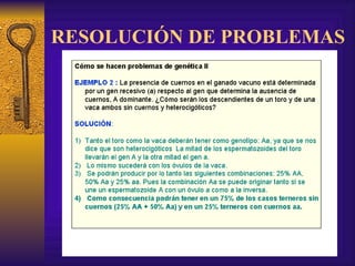 RESOLUCIÓN DE PROBLEMAS 