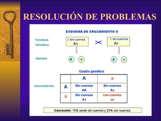 RESOLUCIÓN DE PROBLEMAS 