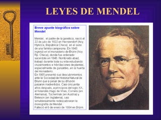 LEYES DE MENDEL 