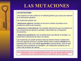 LAS MUTACIONES 