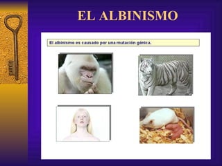 EL ALBINISMO 