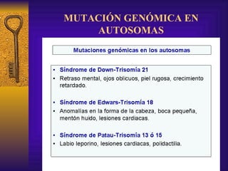 MUTACIÓN GENÓMICA EN AUTOSOMAS 