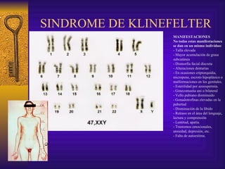 SINDROME DE KLINEFELTER MANIFESTACIONES   No todas estas manifestaciones se dan en un mismo individuo : - Talla elevada - Mayor acumulación de grasa subcutánea - Dismorfia facial discreta - Alteraciones dentarias - En ocasiones criptorquidia, micropene, escroto hipoplásico o malformaciones en los genitales. - Esterilidad por azoospermia. - Ginecomastia uni o bilateral - Vello pubiano disminuido - Gonadotrofinas elevadas en la pubertad - Disminución de la líbido - Retraso en el área del lenguaje, lectura y comprensión - Lentitud, apatía. - Trastornos emocionales, ansiedad, depresión, etc. - Falta de autoestima. 