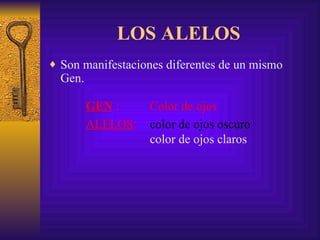 LOS ALELOS Son manifestaciones diferentes de un mismo Gen.  GEN   :  Color de ojos ALELOS :   color de ojos oscuro   color de ojos claros 